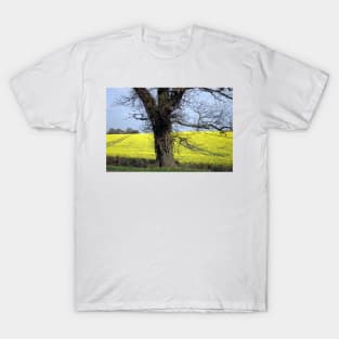 Fields of gold T-Shirt